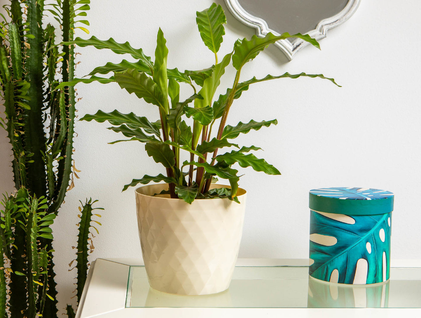 Plant Pots Indoor Garden Planter Decor Plastic Herbs Outdoor Pot Cover Crystal