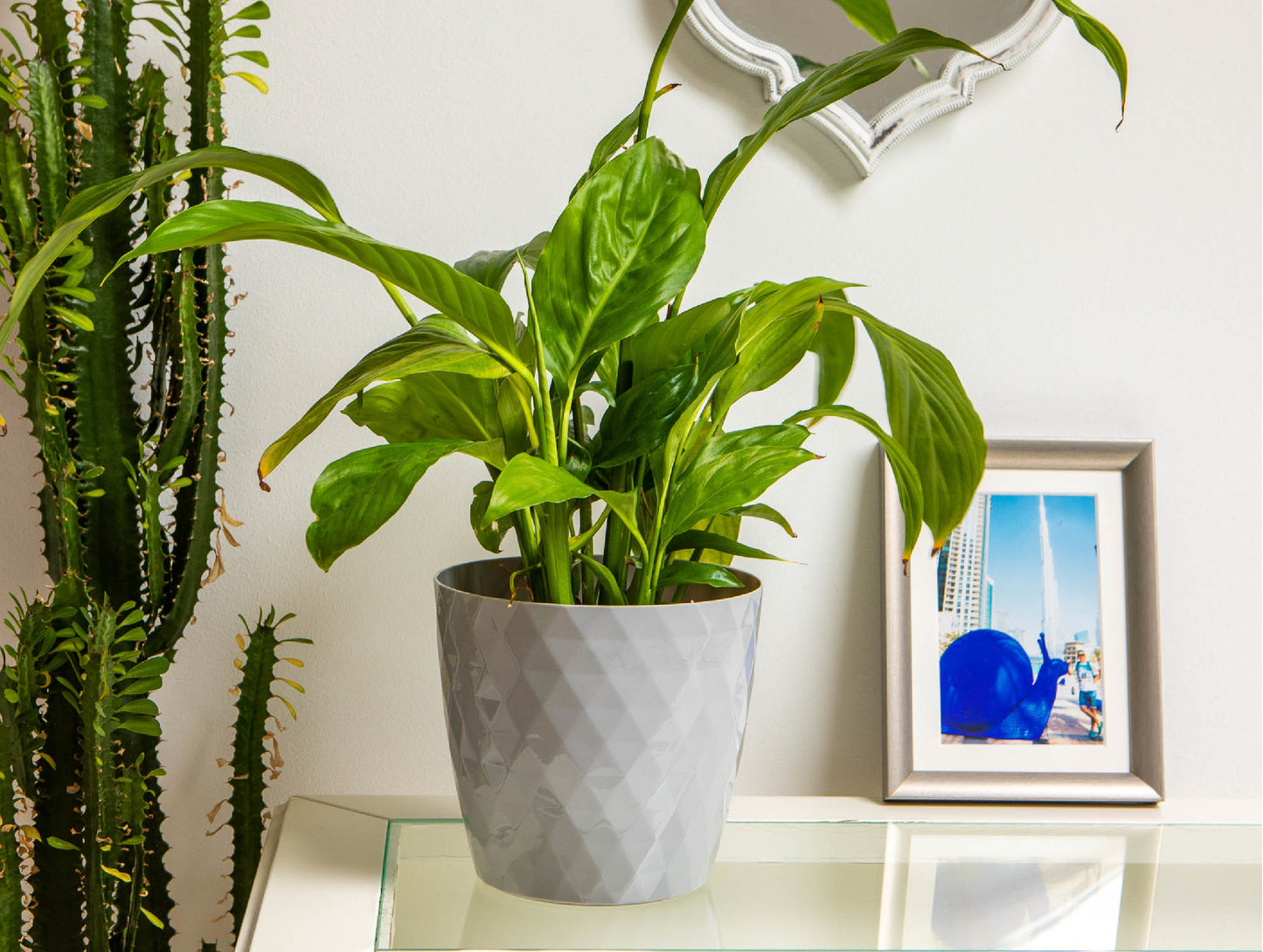 Crystal Plant Pots Set of 3 Sizes 14/16/18cm Plant Pot with Glossy Surface
