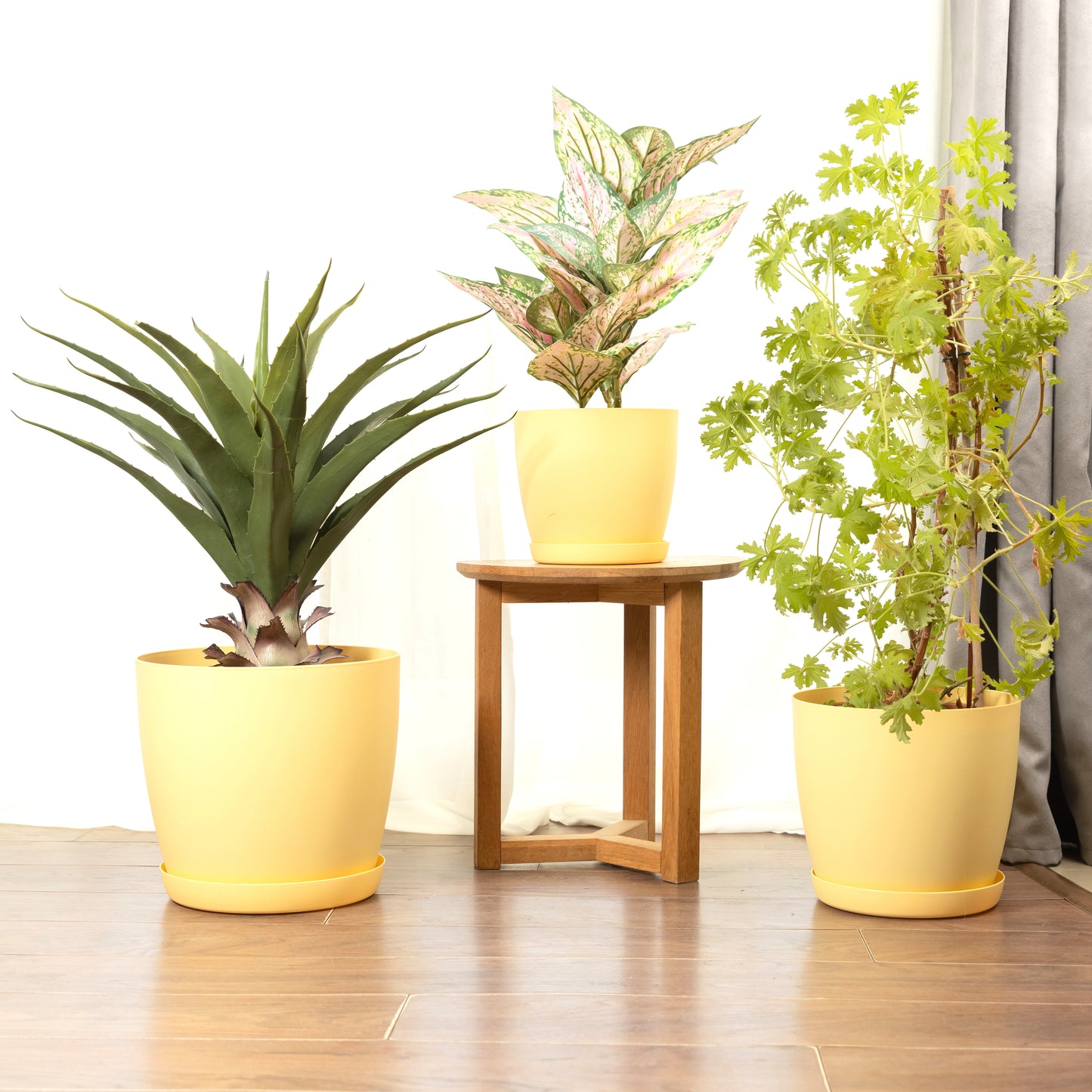 Plant Pots Indoor Set of 5 Sizes 9.5/12/14/16/18cm Matt Surface With Saucer