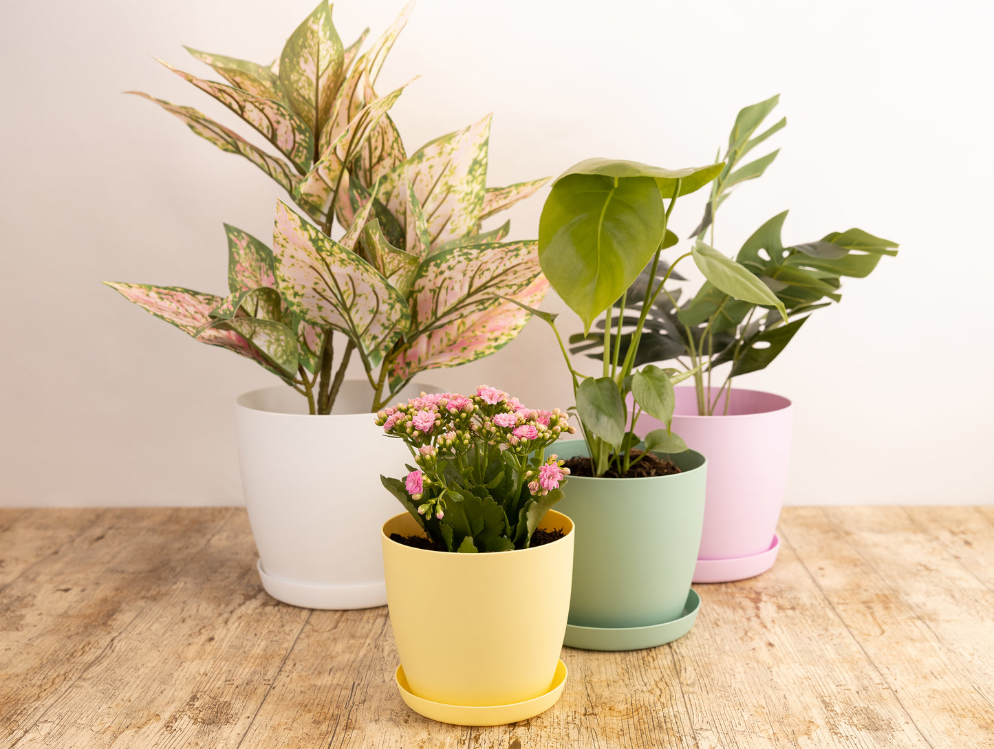 Plant Pots Indoor with Plant Saucer Flower Pots with Mat Surface and Plant Tray