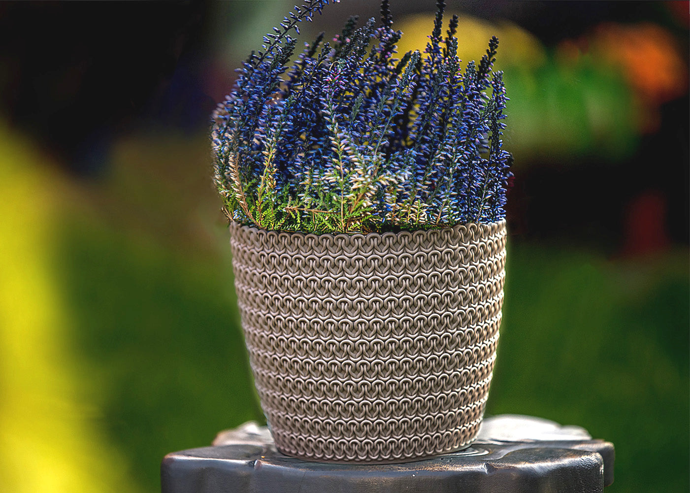 Plant Pots Indoor Jersey Set Of 5 Sizes : 11/14/16/18/21.5cm