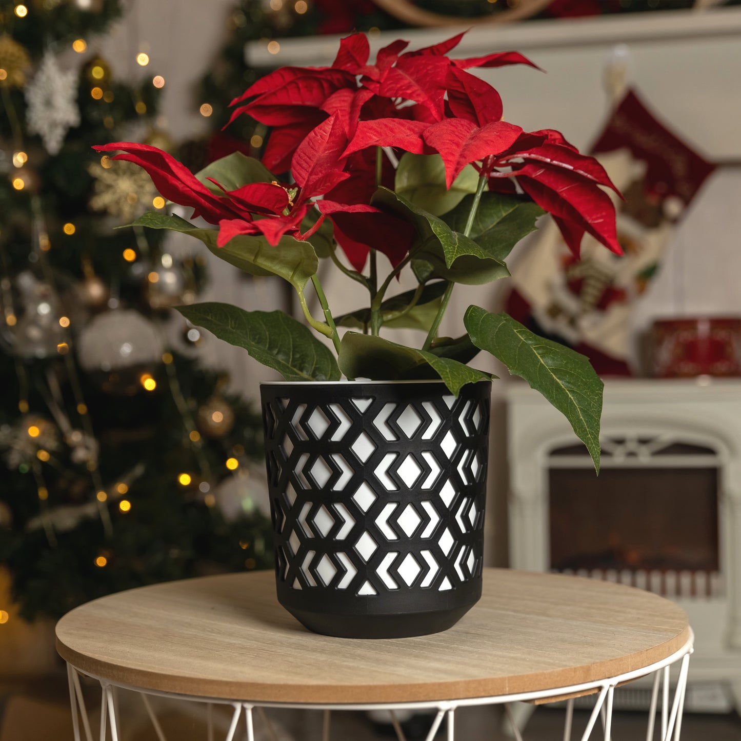 Plant Pots Indoor Mixed Set Of 3 Pot + Insert