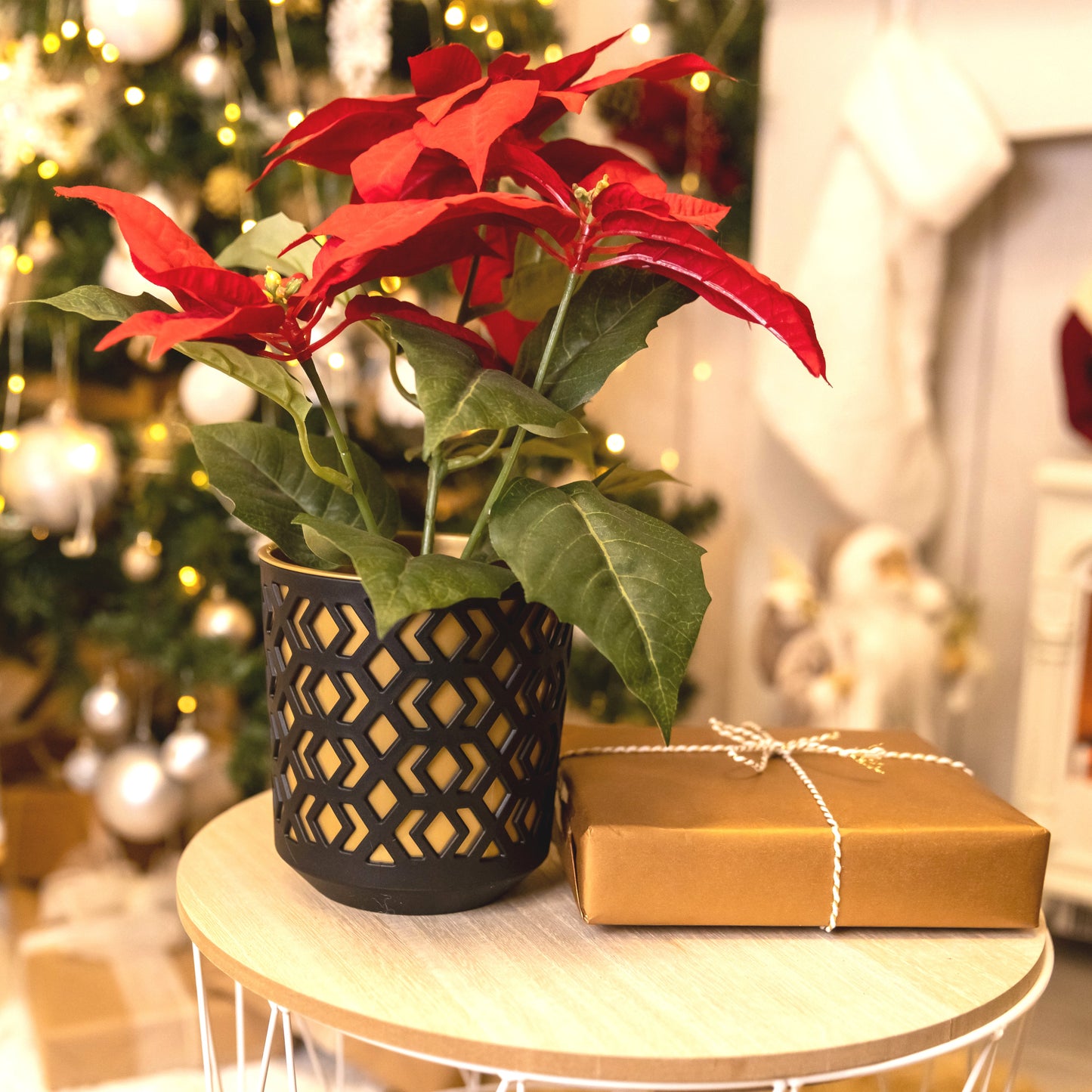 Plant Pots Indoor Mixed Decorative Pot + Insert