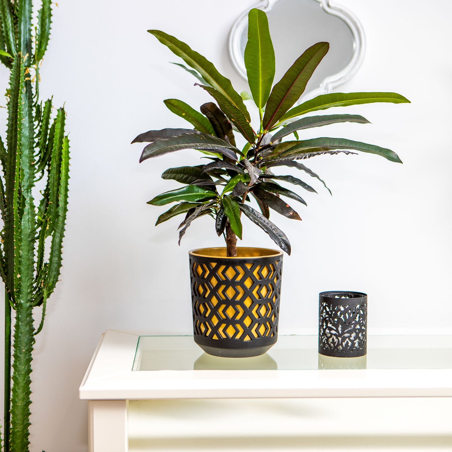 Plant Pots Indoor Mixed Decorative Pot + Insert