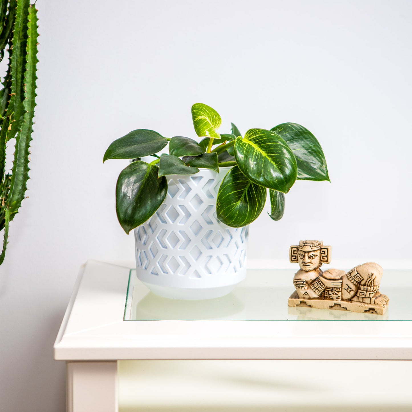 Plant Pots Indoor Mixed Set Of 3 Pot + Insert