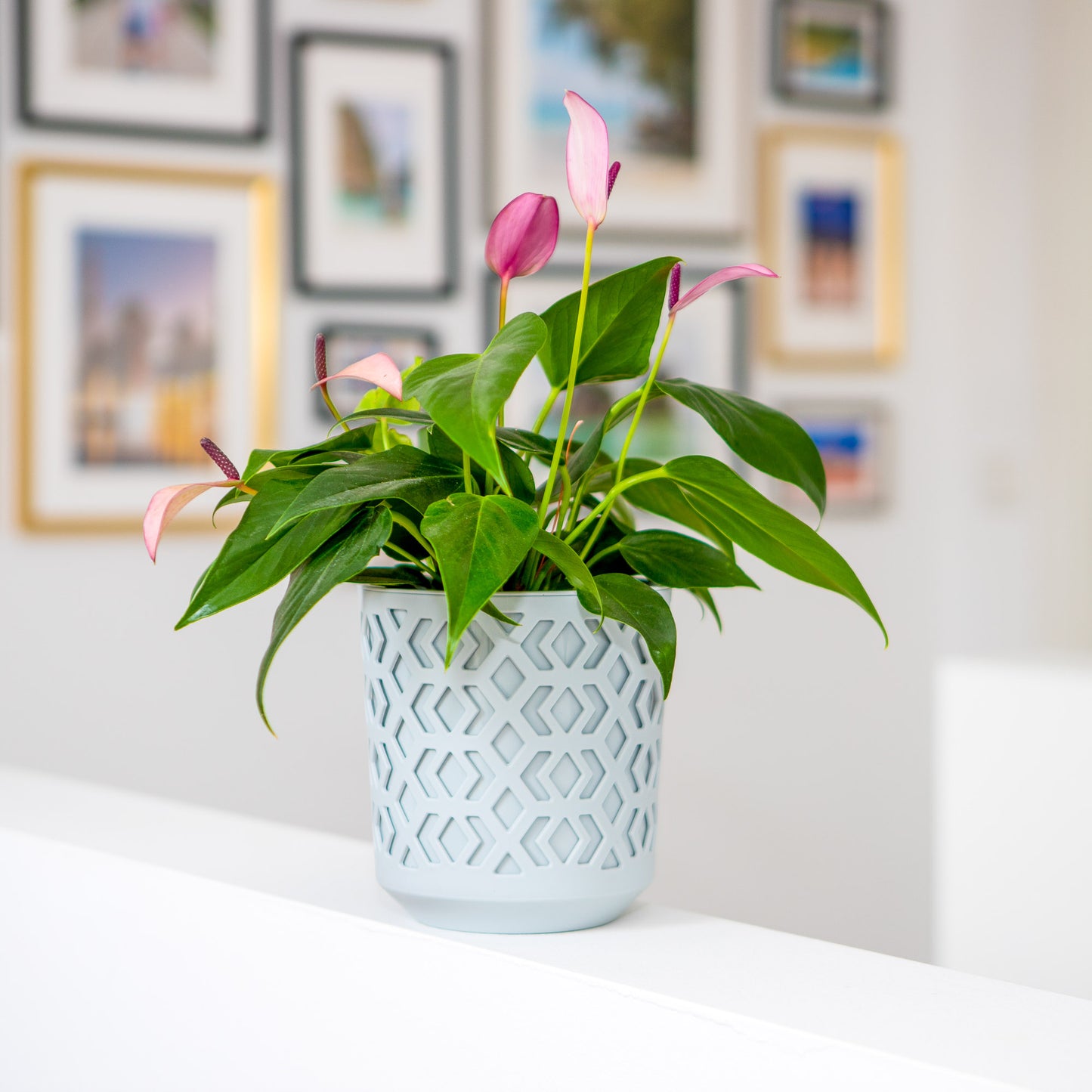 Plant Pots Indoor Large Aztek Set Of 3 Of Sizes 14/19/25cm