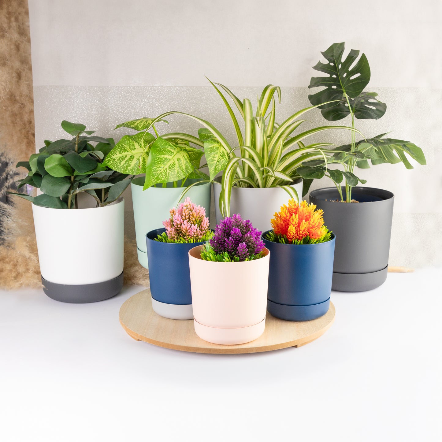 Classy Plant Pots Indoor Plastic Plant Pot with Integrated Plant Saucer
