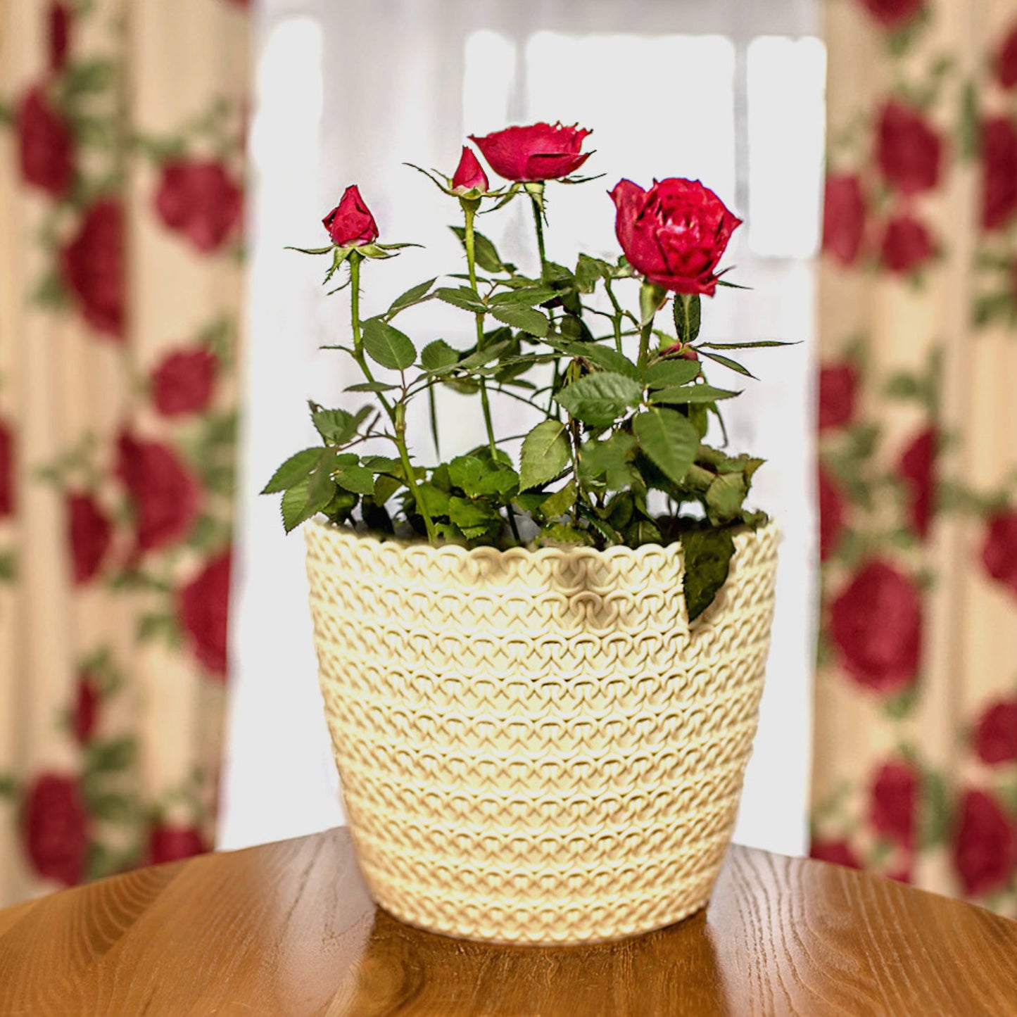 Plant Pots Indoor Knitted Set Of 3