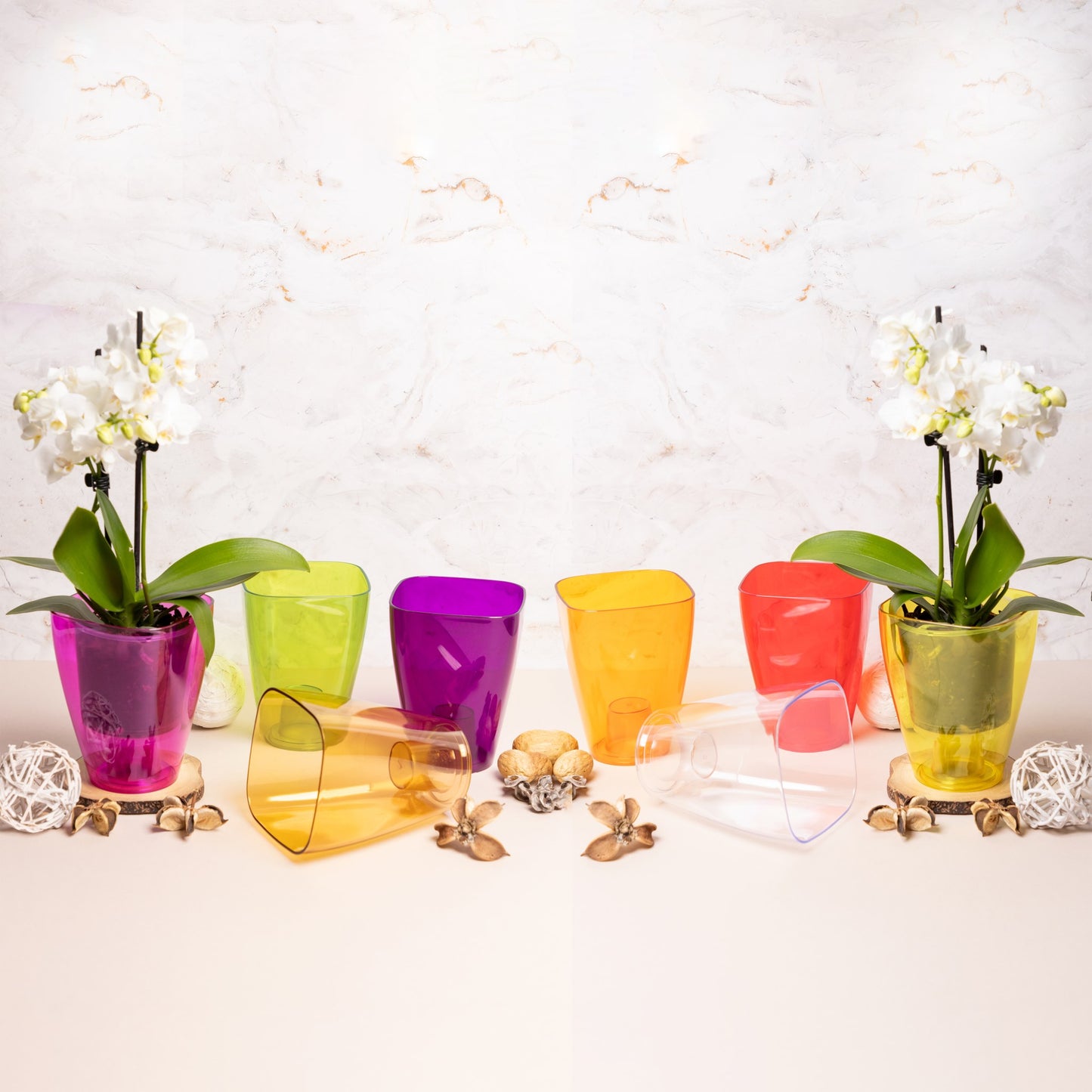 Plant Pots For Orchids Set Of 3 Transparent Square