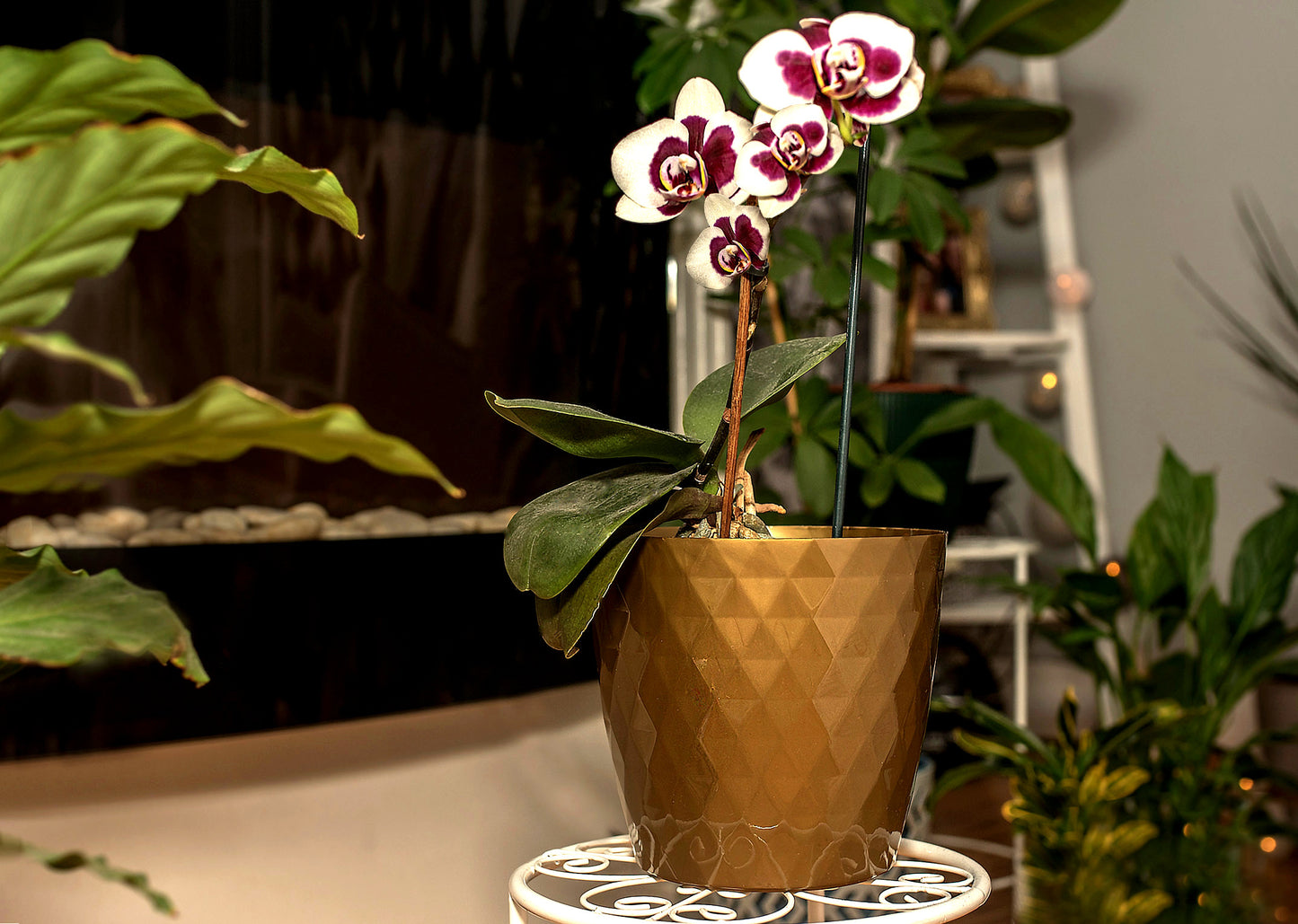 Plant Pots Indoor Garden Planter Decor Plastic Herbs Outdoor Pot Cover Crystal