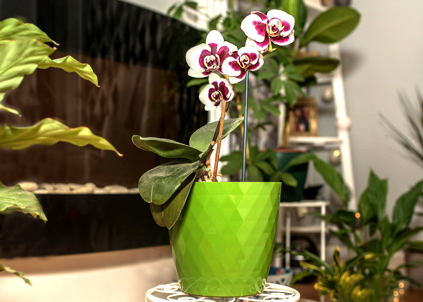 Plant Pots Indoor Crystal Set Of 5 12/14/16/18/20cm