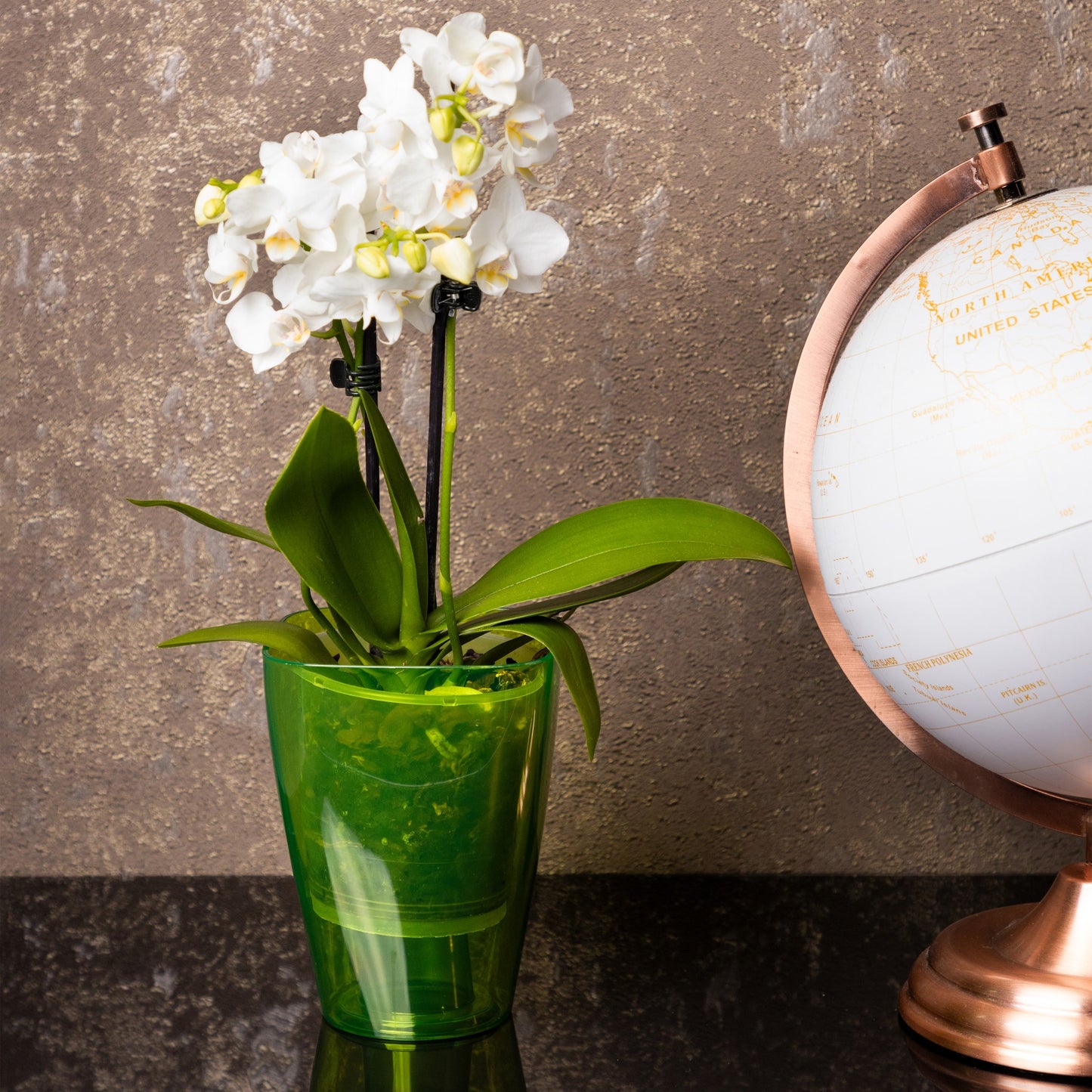 Plant Pots For Orchids Set Of 3 Transparent Square