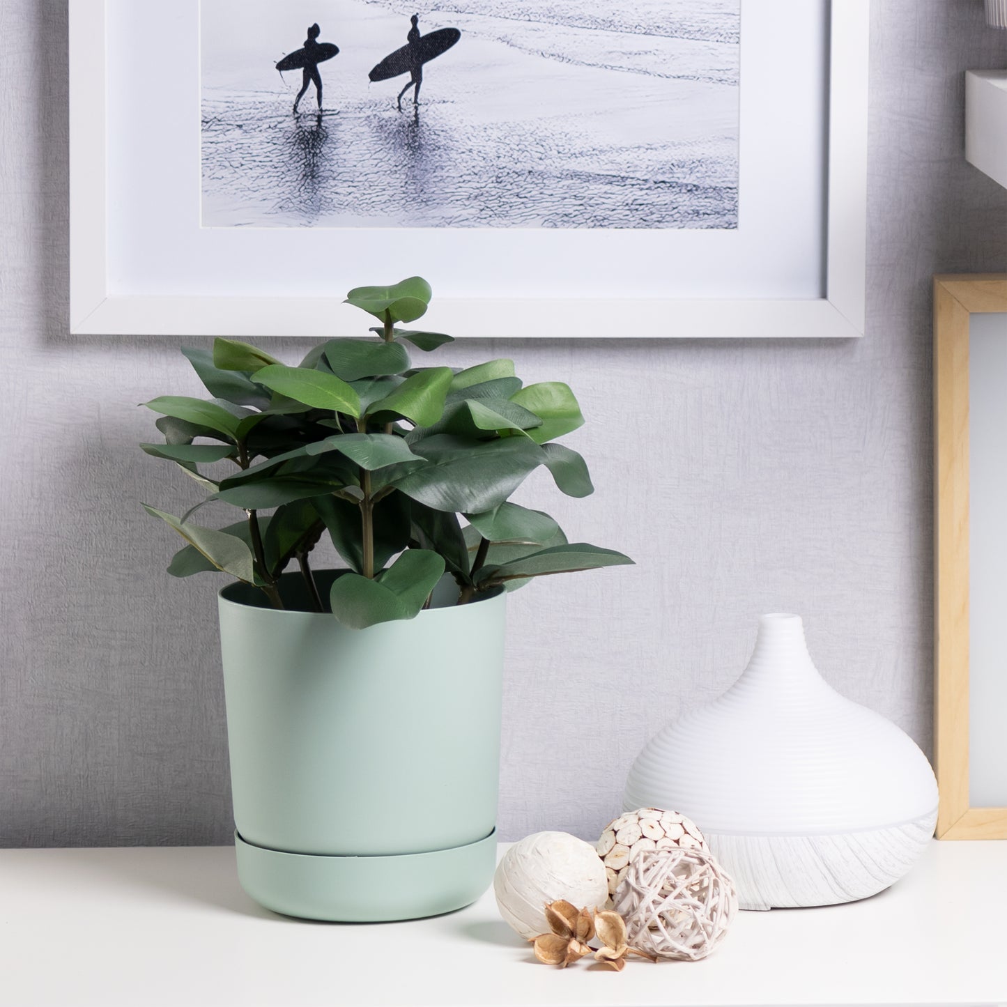 Classy Plant Pots Indoor Plastic Plant Pot with Integrated Plant Saucer