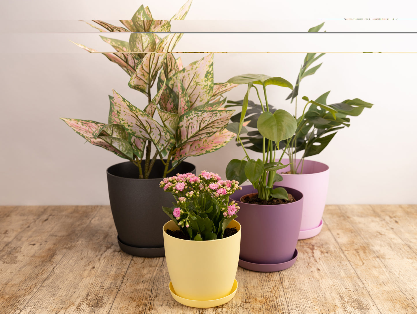 Plant Pots Indoor Matte Set of 3 Sizes 20/25/30cm – Large Plant Pot with Plant Saucer