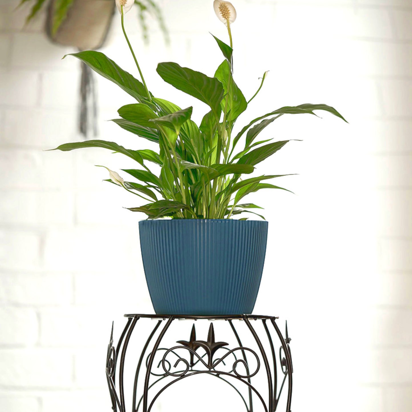 Plant Pots Indoor Set Of 3 Striped Pattern