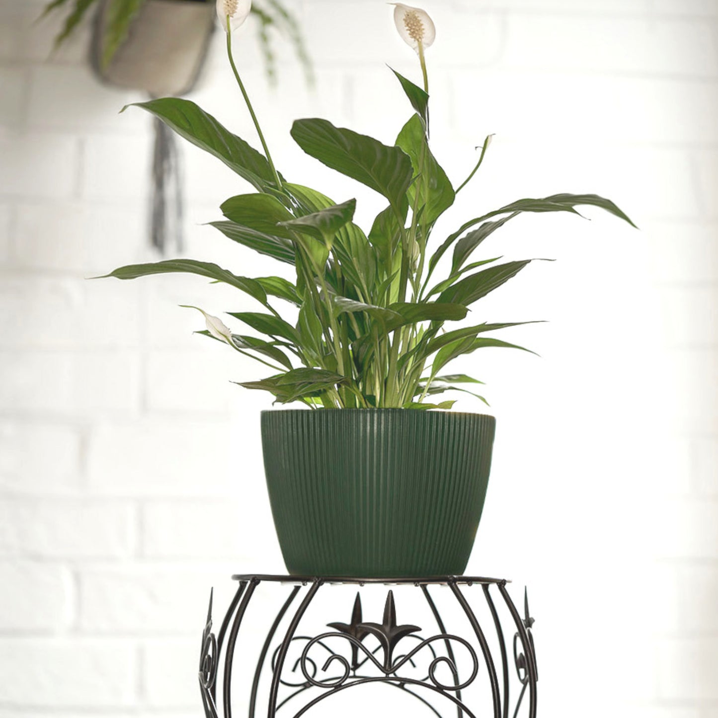 Plant Pots Indoor Striped Decorative Flower Pot Outdoor