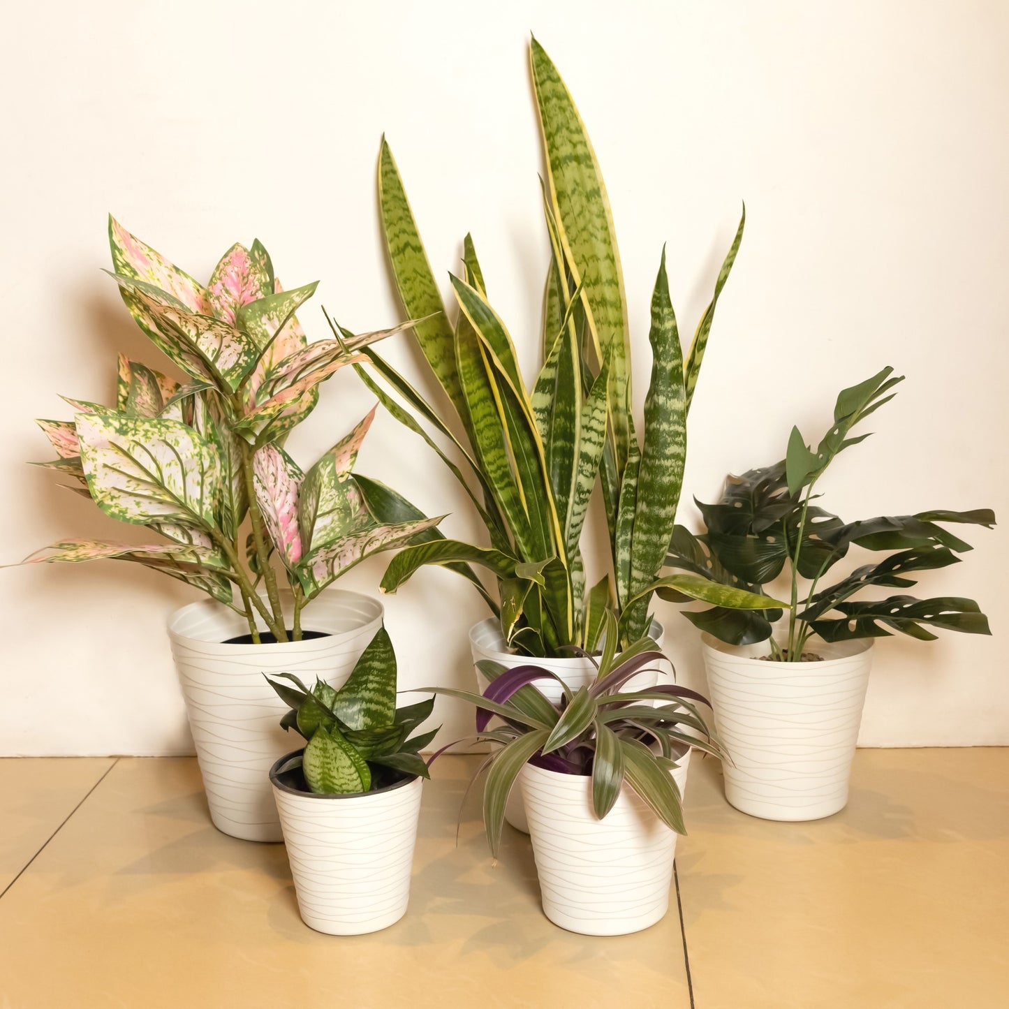Plant Pots Indoor Tedi Set Of 5 Sizes 13/15/17/19/21cm