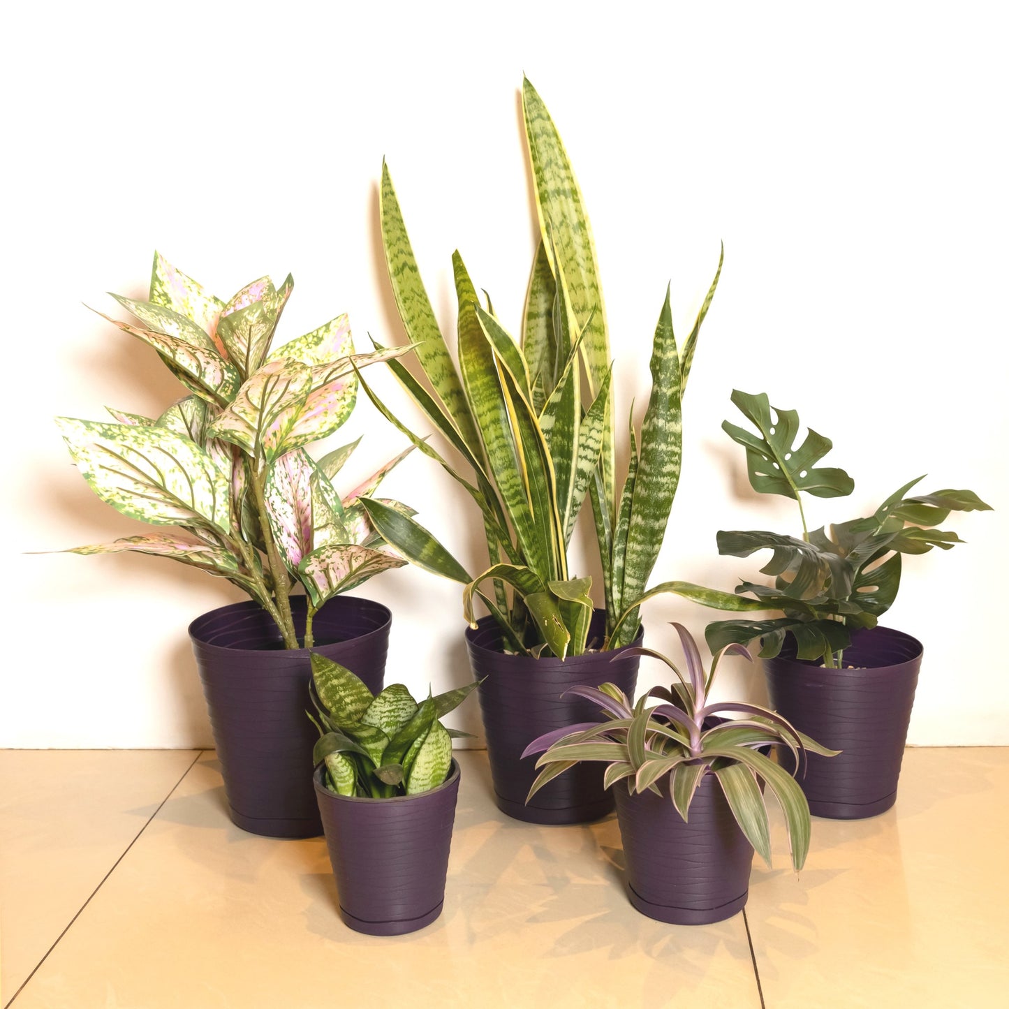 Plant Pots Indoor Tedi Set Of 5 Sizes 13/15/17/19/21cm