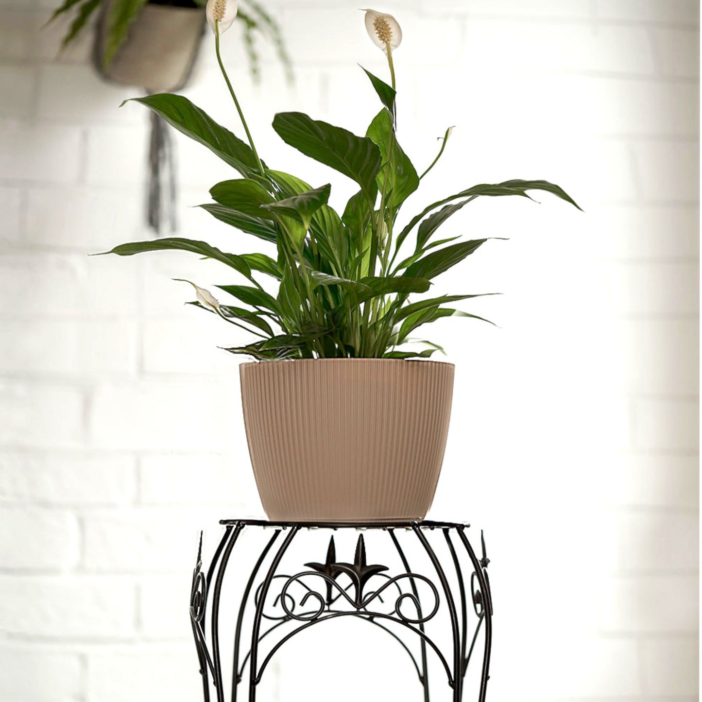 Plant Pots Indoor Set Of 3 Striped Pattern