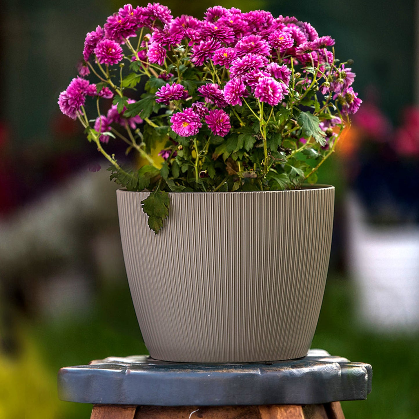 Plant Pots Indoor Set Of 3 Striped Pattern