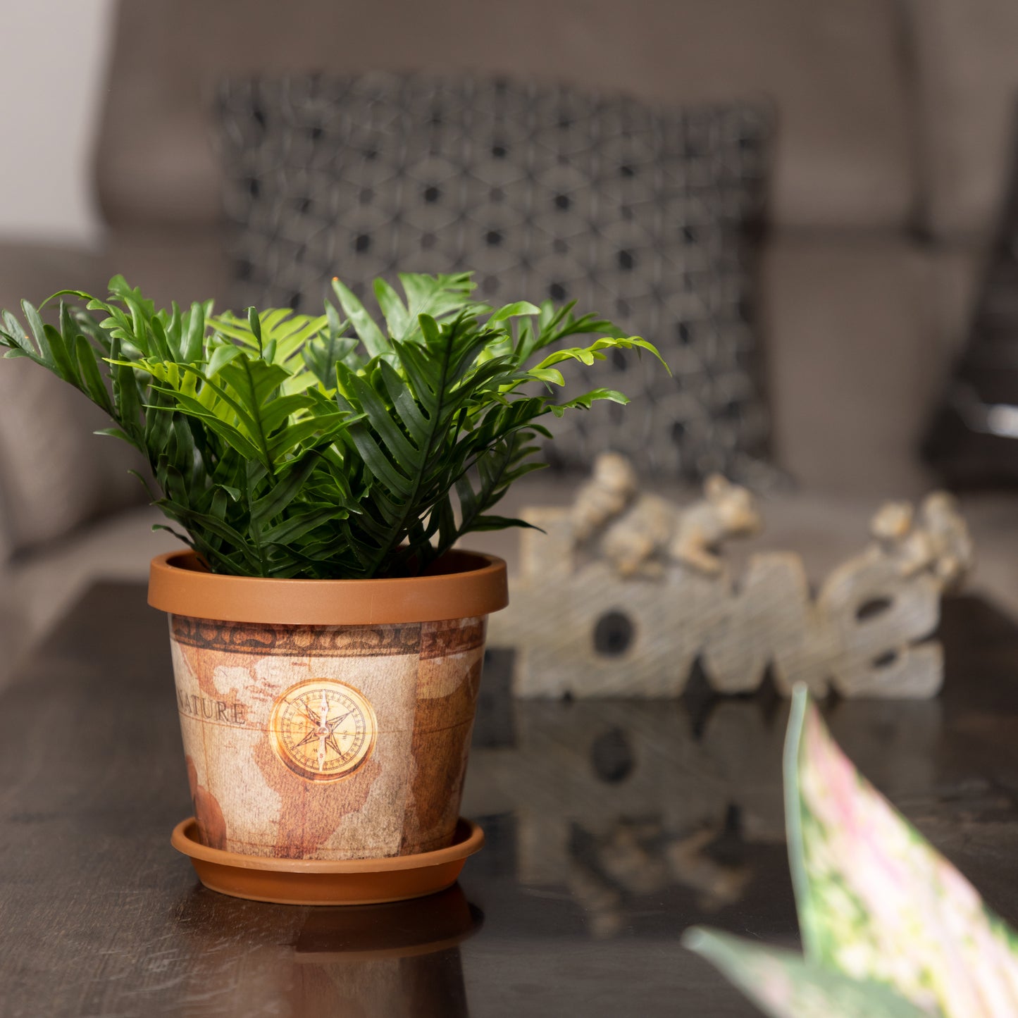 Plant Pots Indoor Keramo Set Of 5 With Saucers Sizes 13/15/17/19/22cm