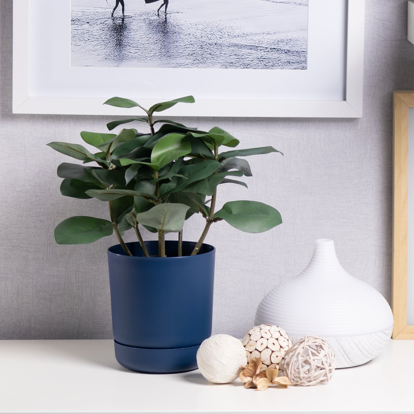 Classy Plant Pots Indoor Plastic Plant Pot with Integrated Plant Saucer