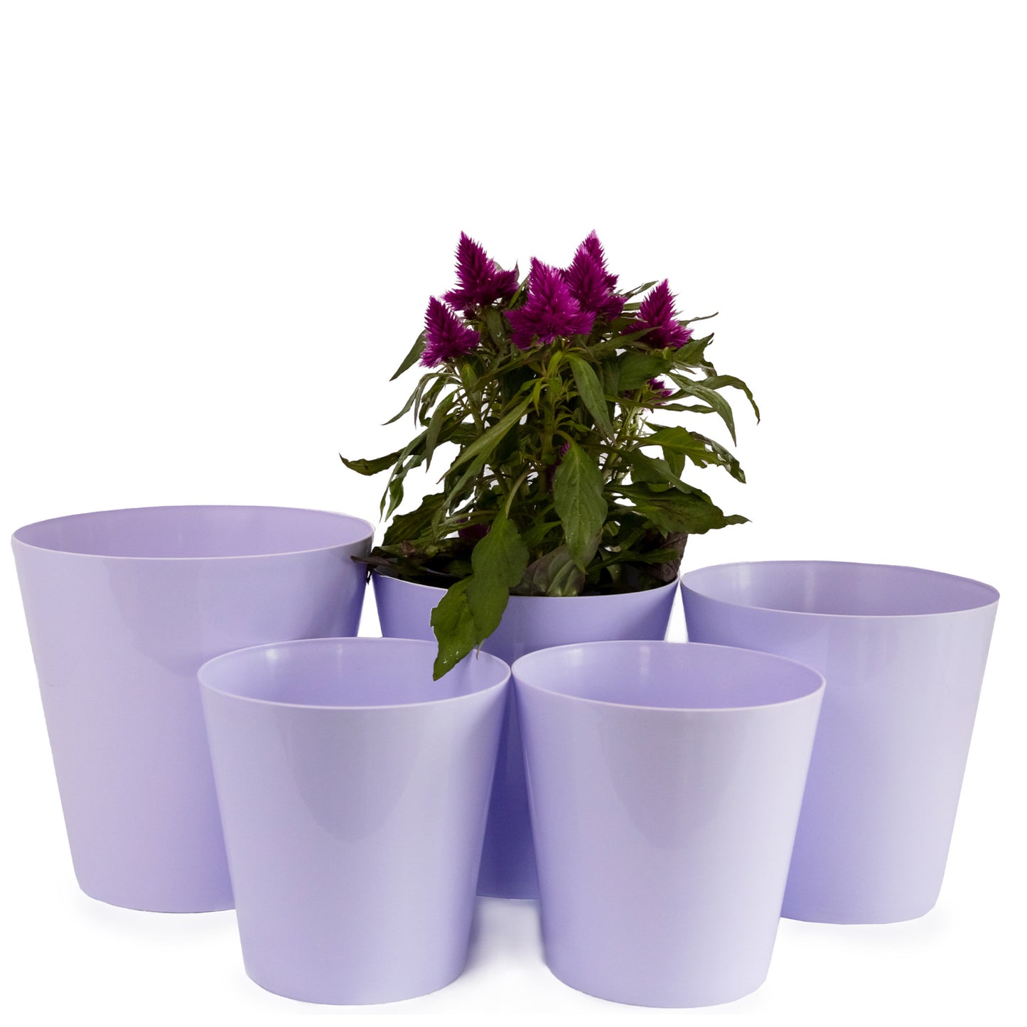 Plant Pots Indoor Aga Set of 5 Sizes 13/13/15/15/17cm