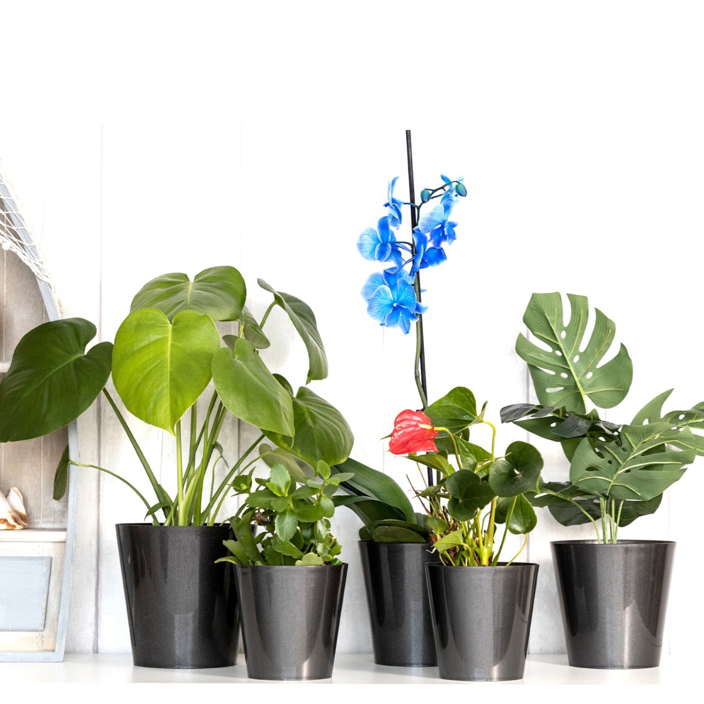 Plant Pots Indoor Aga Set of 5 Sizes 13/13/15/15/17cm