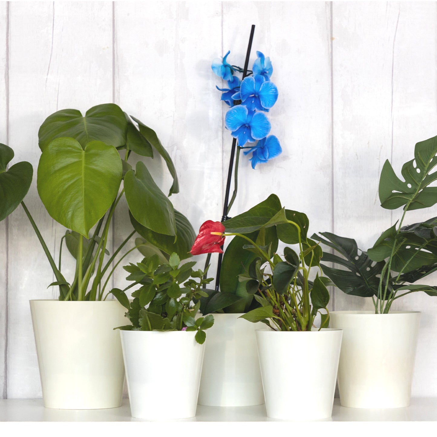 Plant Pots Indoor Aga Set of 5 Sizes 13/13/15/15/17cm