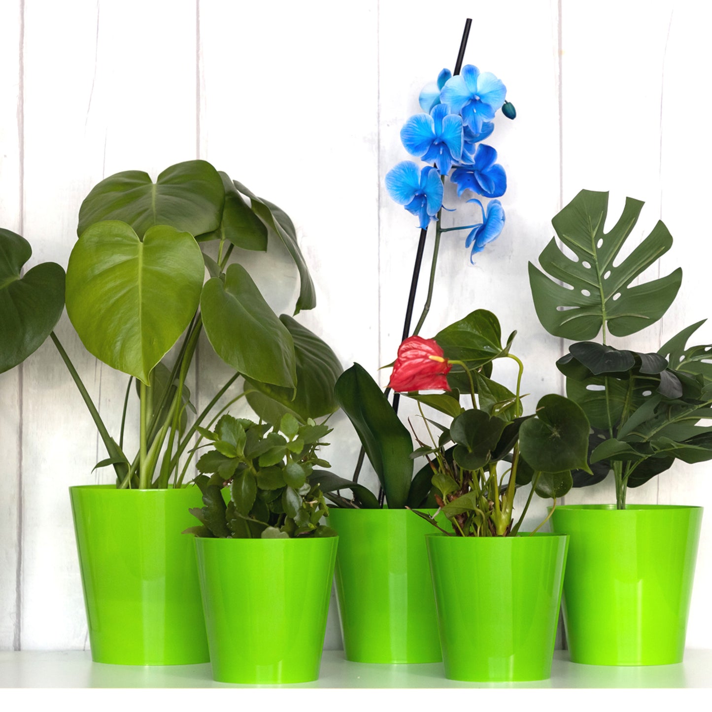 Plant Pots Indoor Aga Set of 5 Sizes 13/13/15/15/17cm