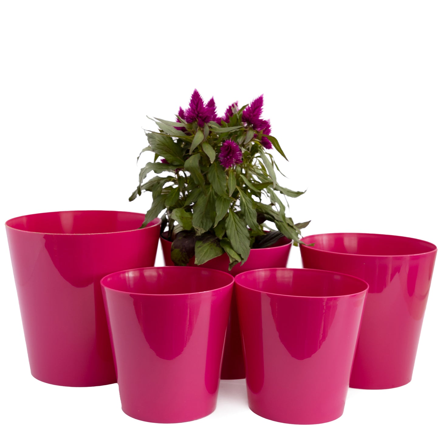 Plant Pots Indoor Aga Set of 5 Sizes 13/13/15/15/17cm