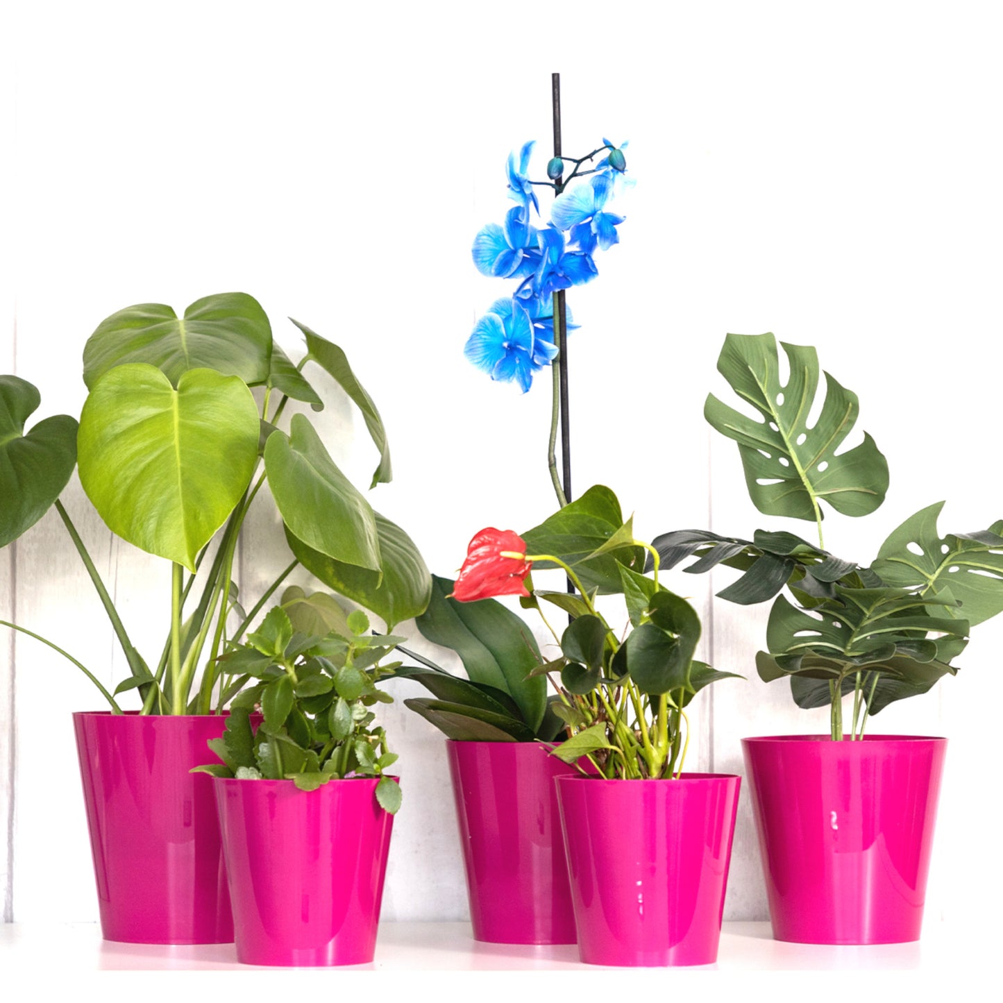 Plant Pots Indoor Aga Set of 5 Sizes 13/13/15/15/17cm