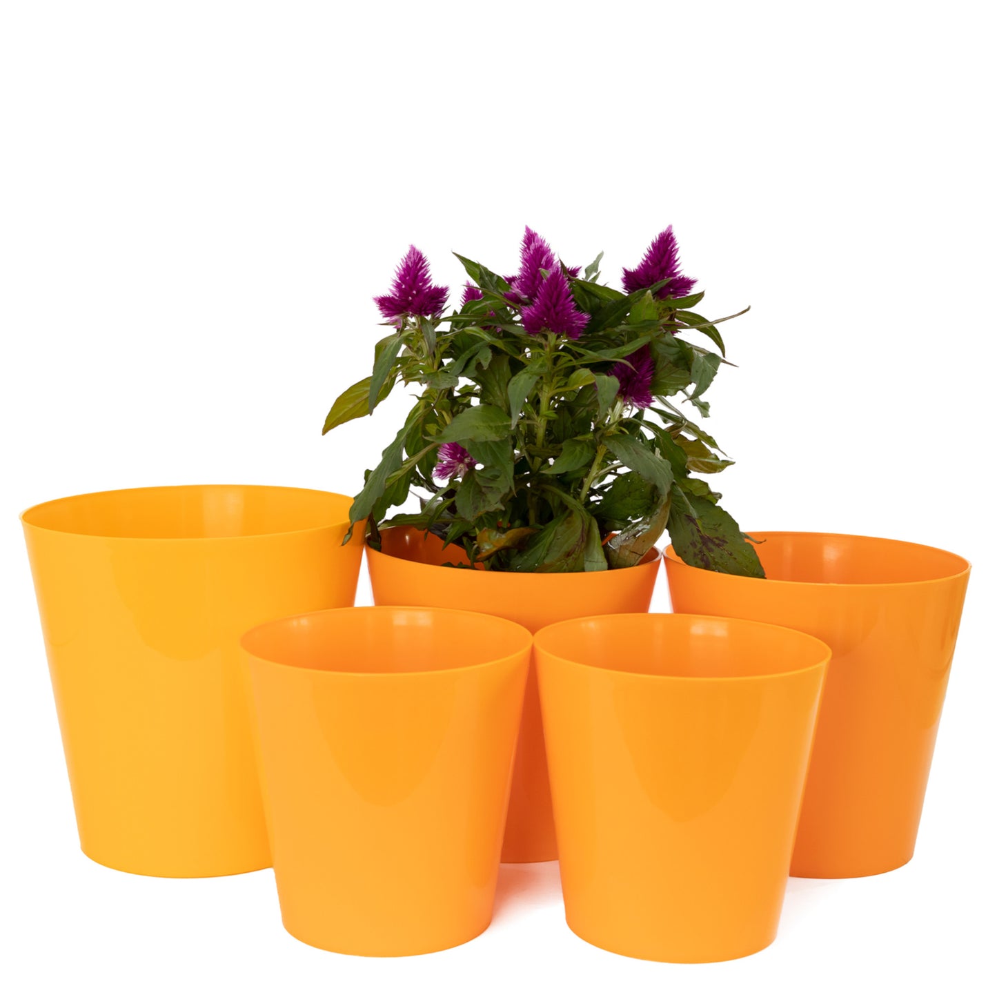 Plant Pots Indoor Aga Set of 5 Sizes 13/13/15/15/17cm