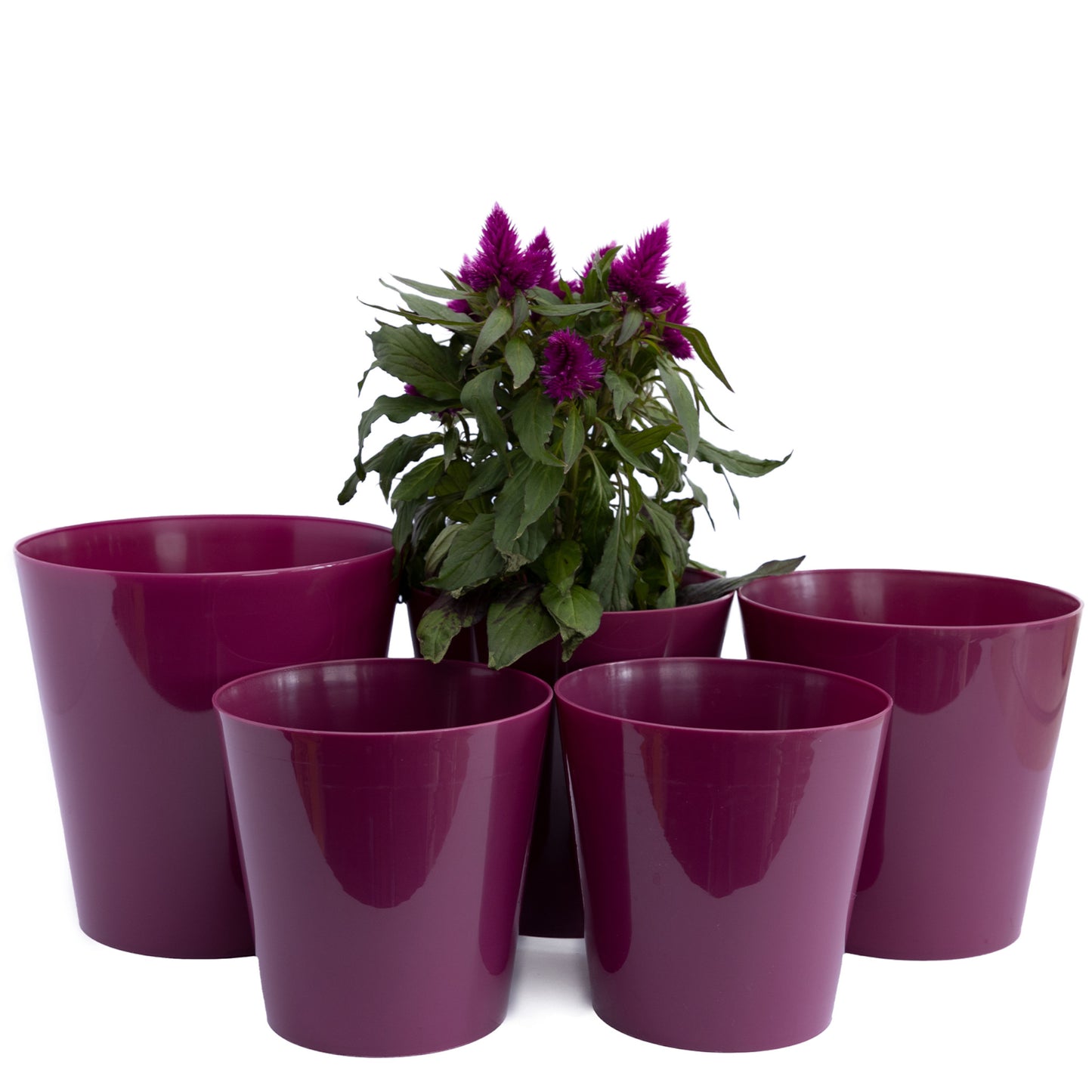 Plant Pots Indoor Aga Set of 5 Sizes 13/13/15/15/17cm