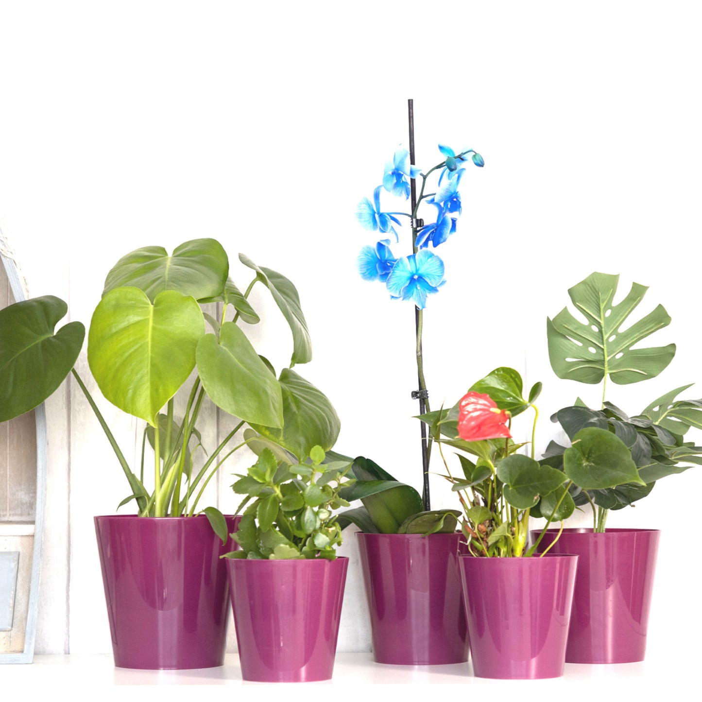 Plant Pots Indoor Aga Set of 5 Sizes 13/13/15/15/17cm