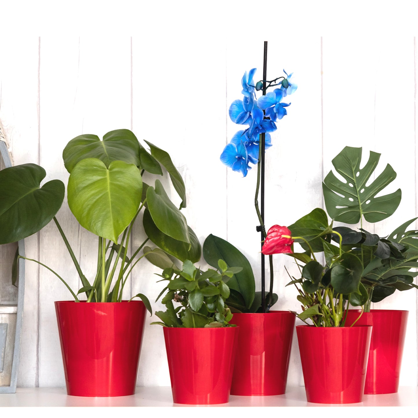 Plant Pots Indoor Aga Set of 5 Sizes 13/13/15/15/17cm