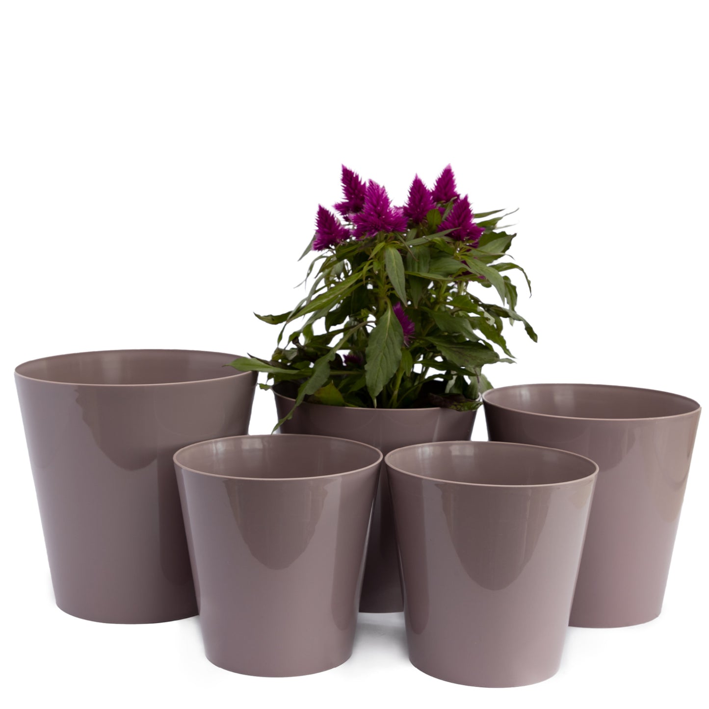 Plant Pots Indoor Aga Set of 5 Sizes 13/13/15/15/17cm