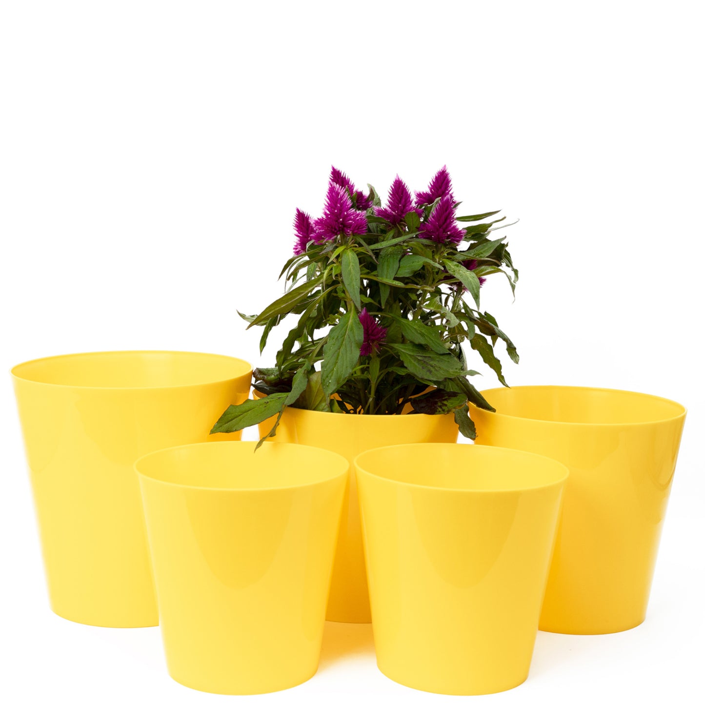 Plant Pots Indoor Aga Set of 5 Sizes 13/13/15/15/17cm