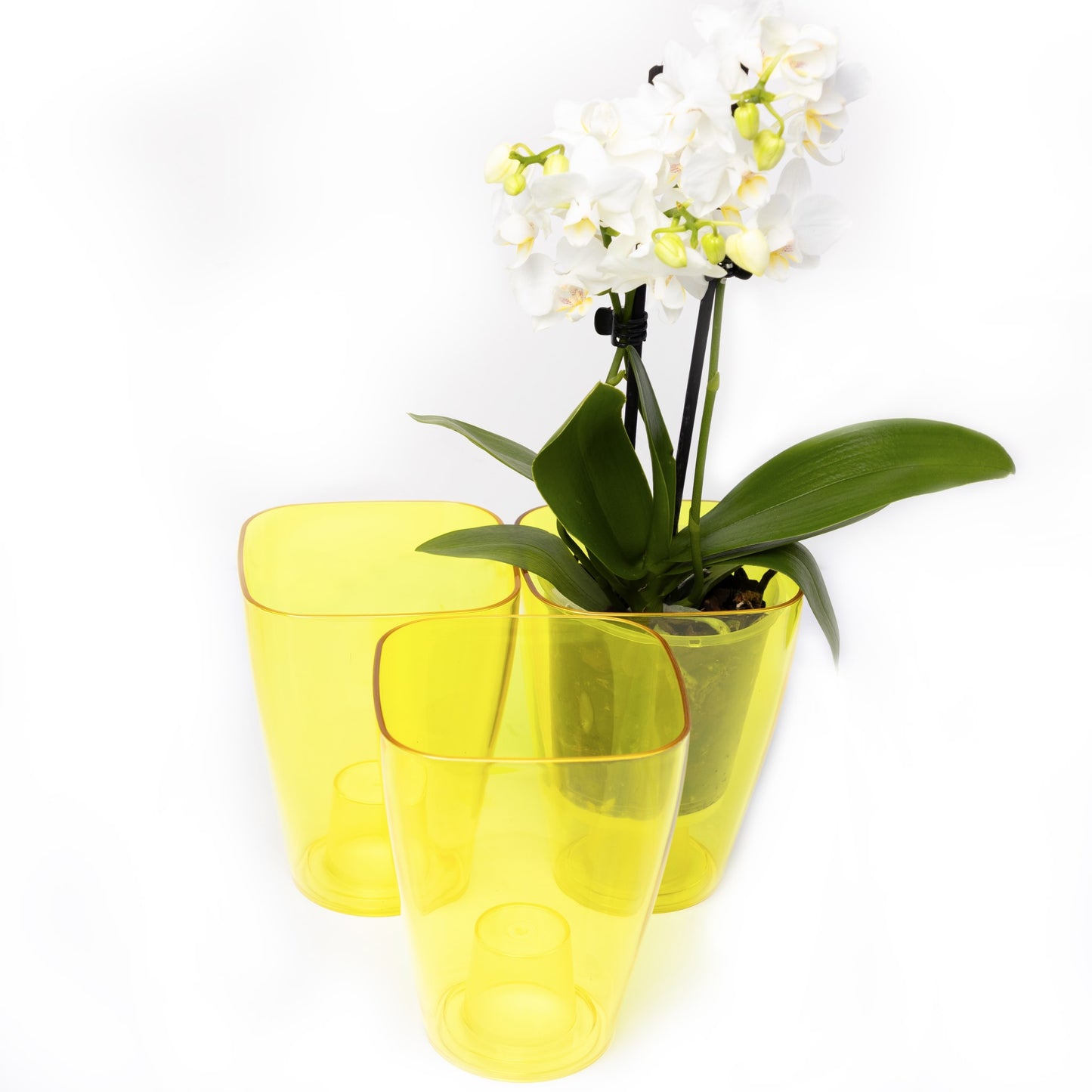 Plant Pots For Orchids Set Of 3 Transparent Square