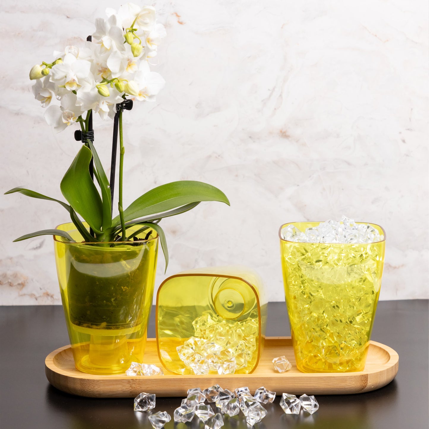 Plant Pots For Orchids Set Of 3 Transparent Square