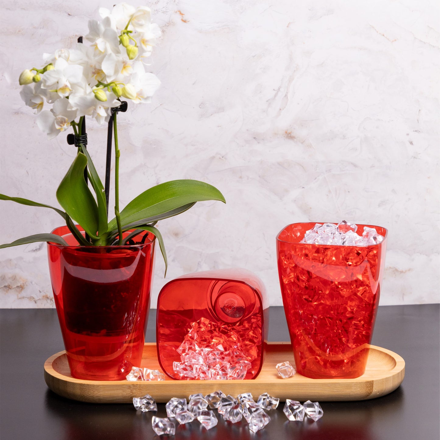 Plant Pots For Orchids Set Of 3 Transparent Square