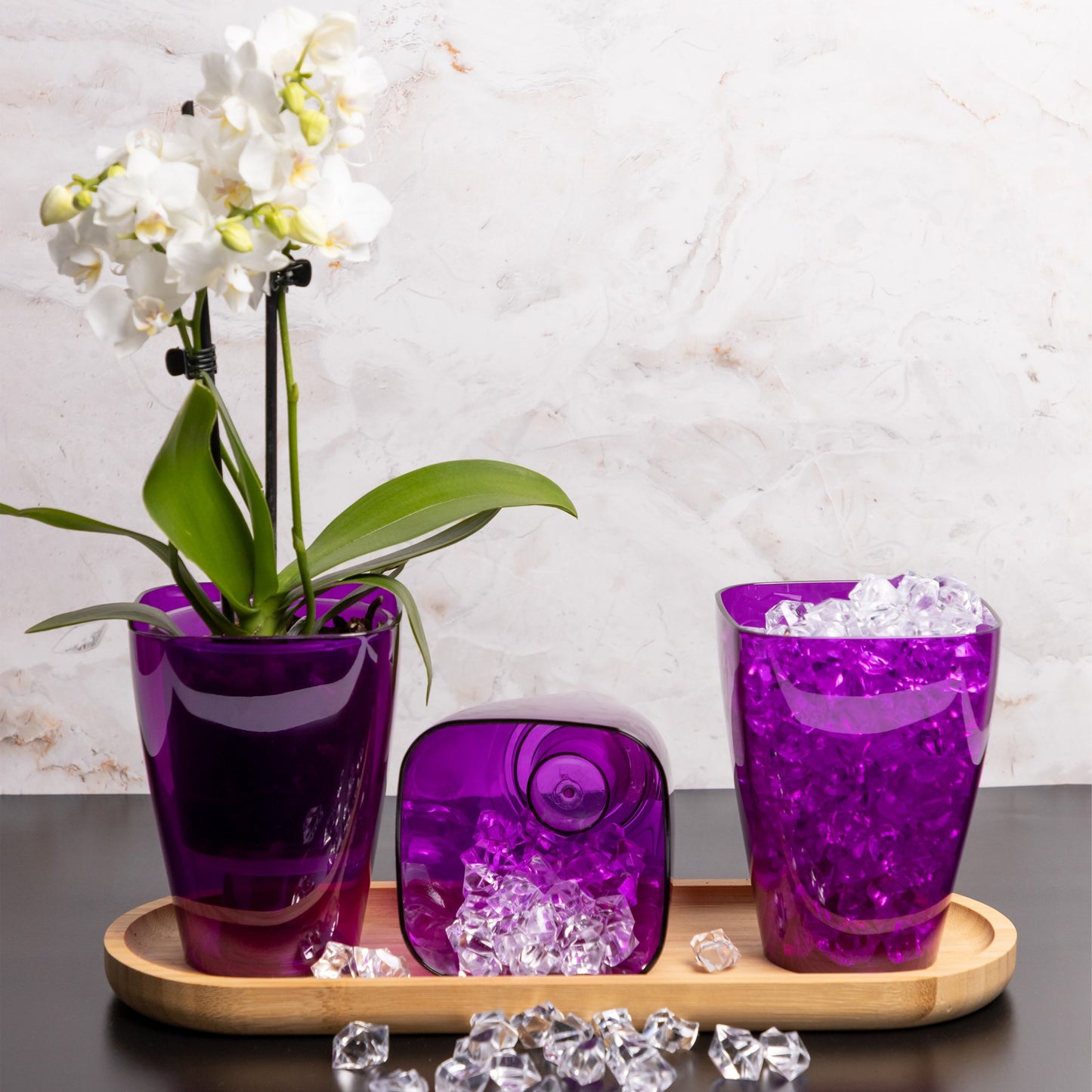 Plant Pots For Orchids Set Of 3 Transparent Square