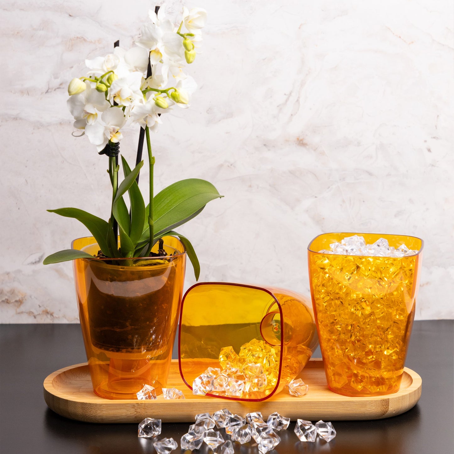 Plant Pots For Orchids Set Of 3 Transparent Square
