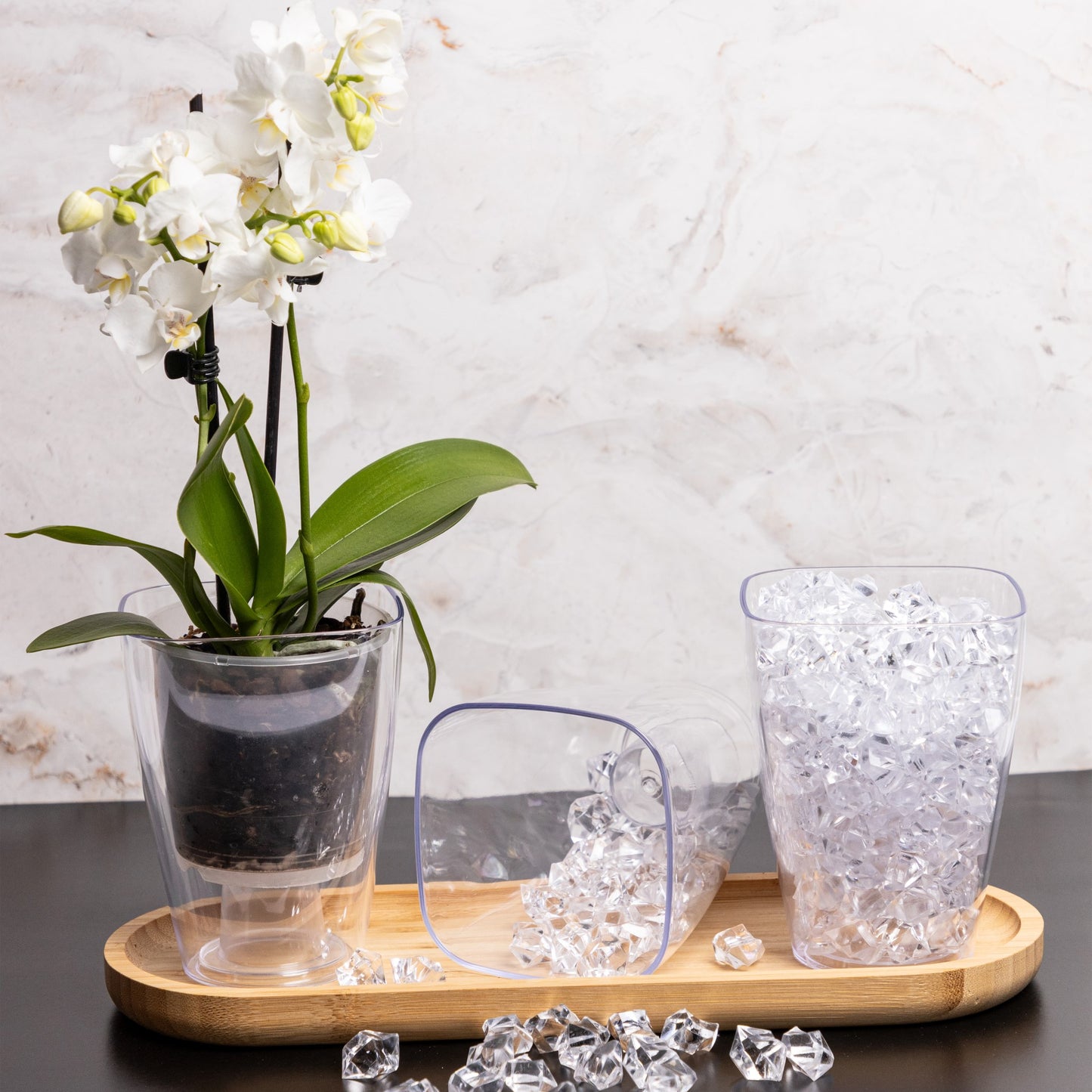 Plant Pots For Orchids Set Of 3 Transparent Square