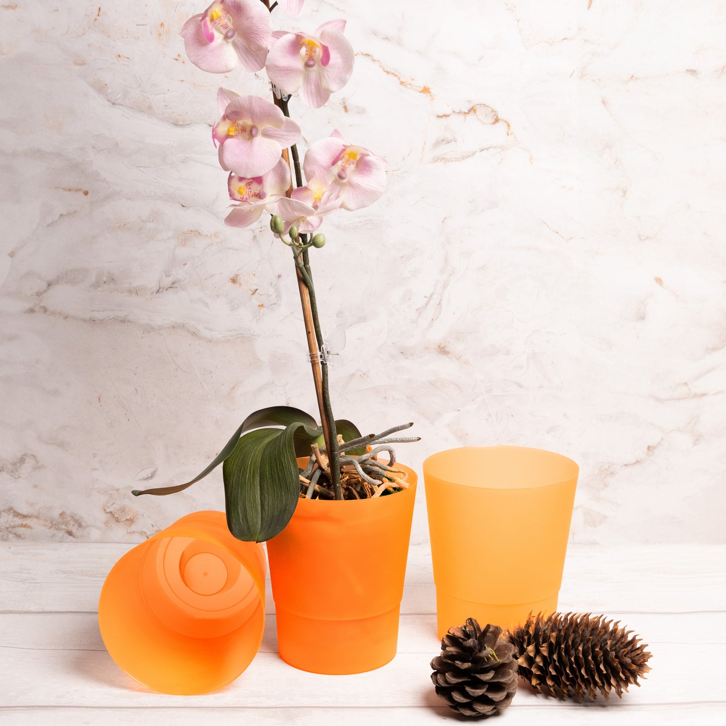Plant Pots Indoor 12cm Diameter Set of 3 Plastic Plant Pot For Orchids Half Transparent