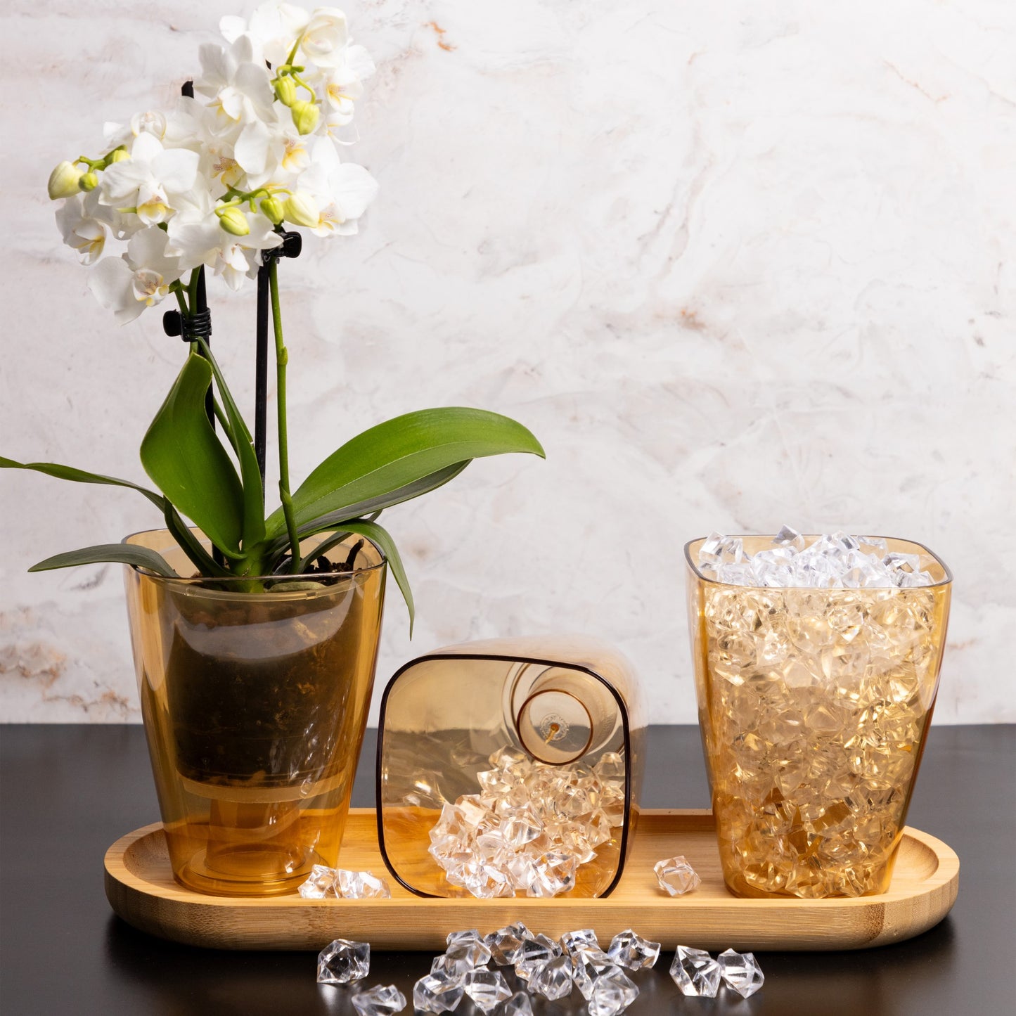 Plant Pots For Orchids Set Of 3 Transparent Square