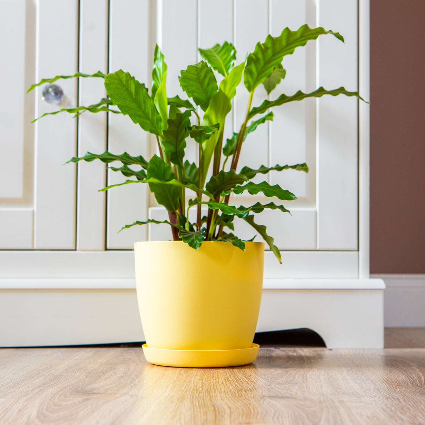 Set Of 3 Plant Pots Indoor Matte 14/16/18 Large Medium Small With Saucer Deco