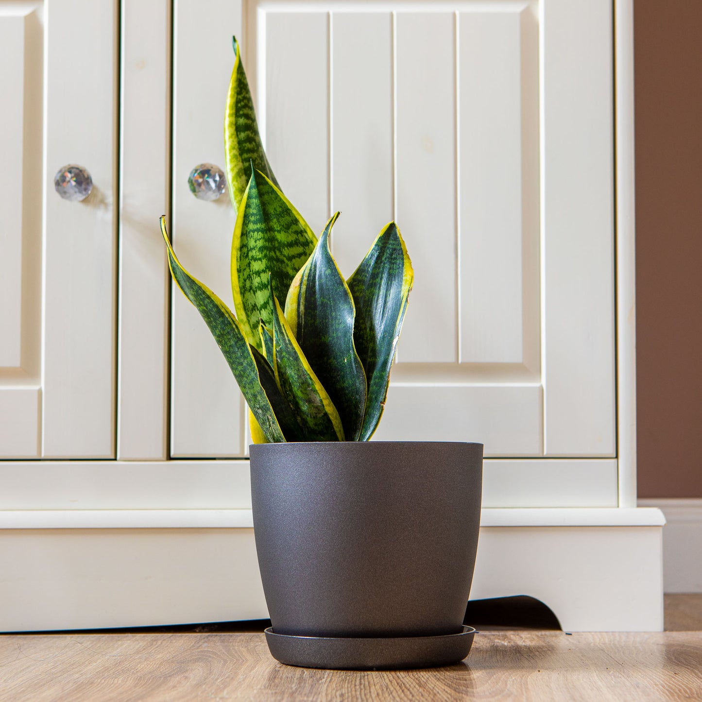 Set Of 3 Plant Pots Indoor Matte 14/16/18 Large Medium Small With Saucer Deco