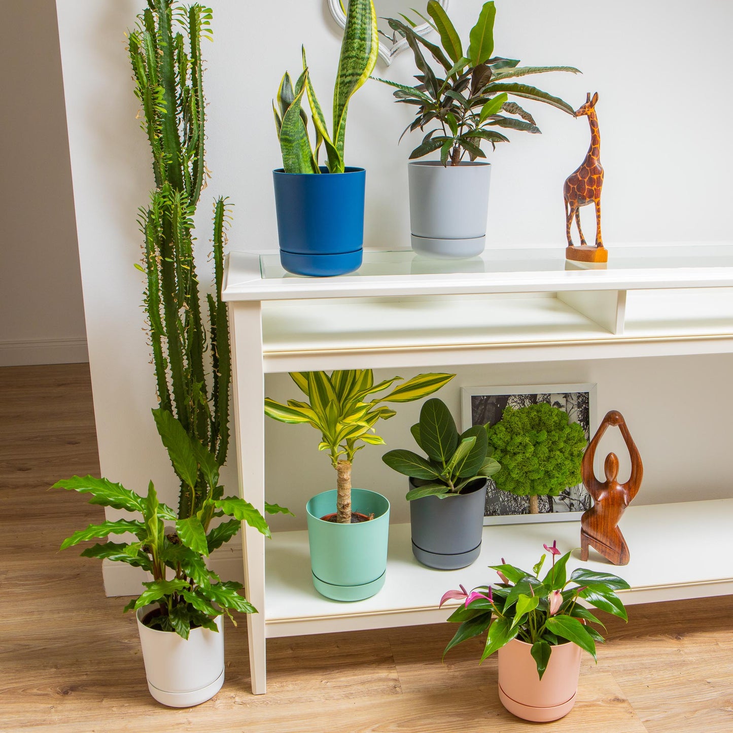 Classy Plant Pots Indoor Plastic Plant Pot with Integrated Plant Saucer