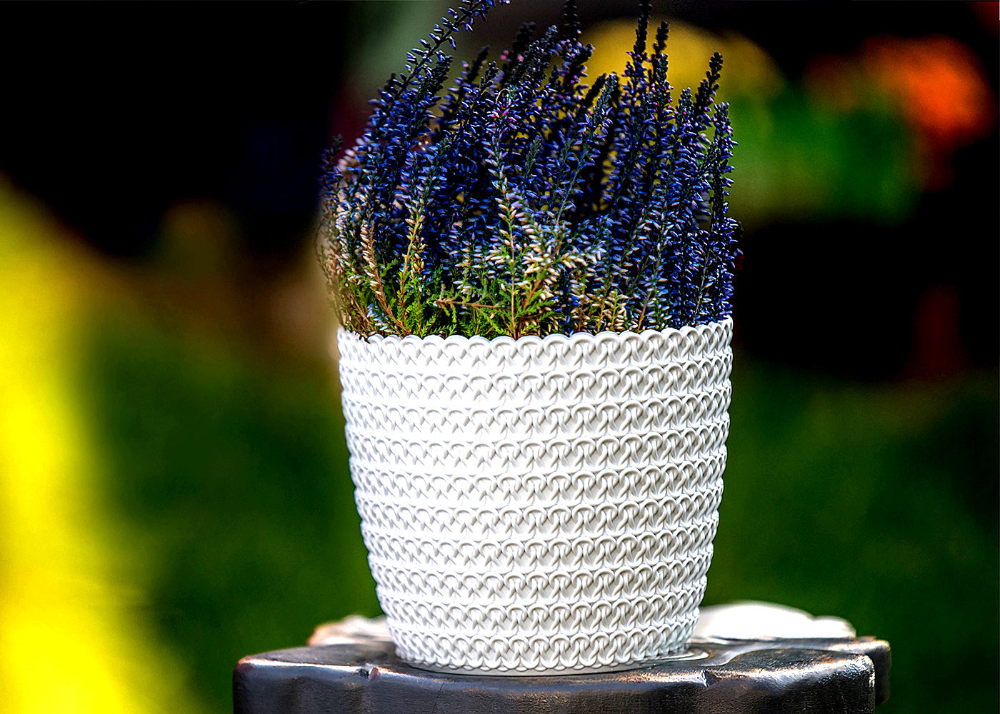Plant Pots Indoor Jersey Set Of 5 Sizes : 11/14/16/18/21.5cm